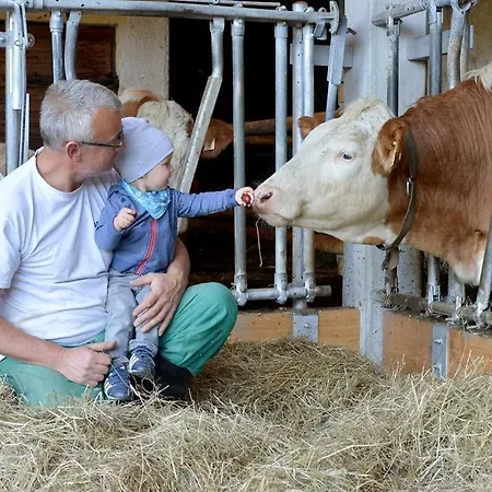 Wildauhof * Fuegenberg