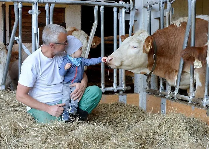 Wildauhof * Fuegenberg