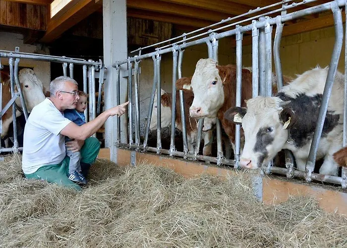 Wildauhof Apartment Fuegenberg