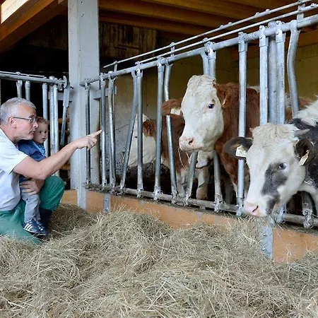Wildauhof Apartamento Fuegenberg